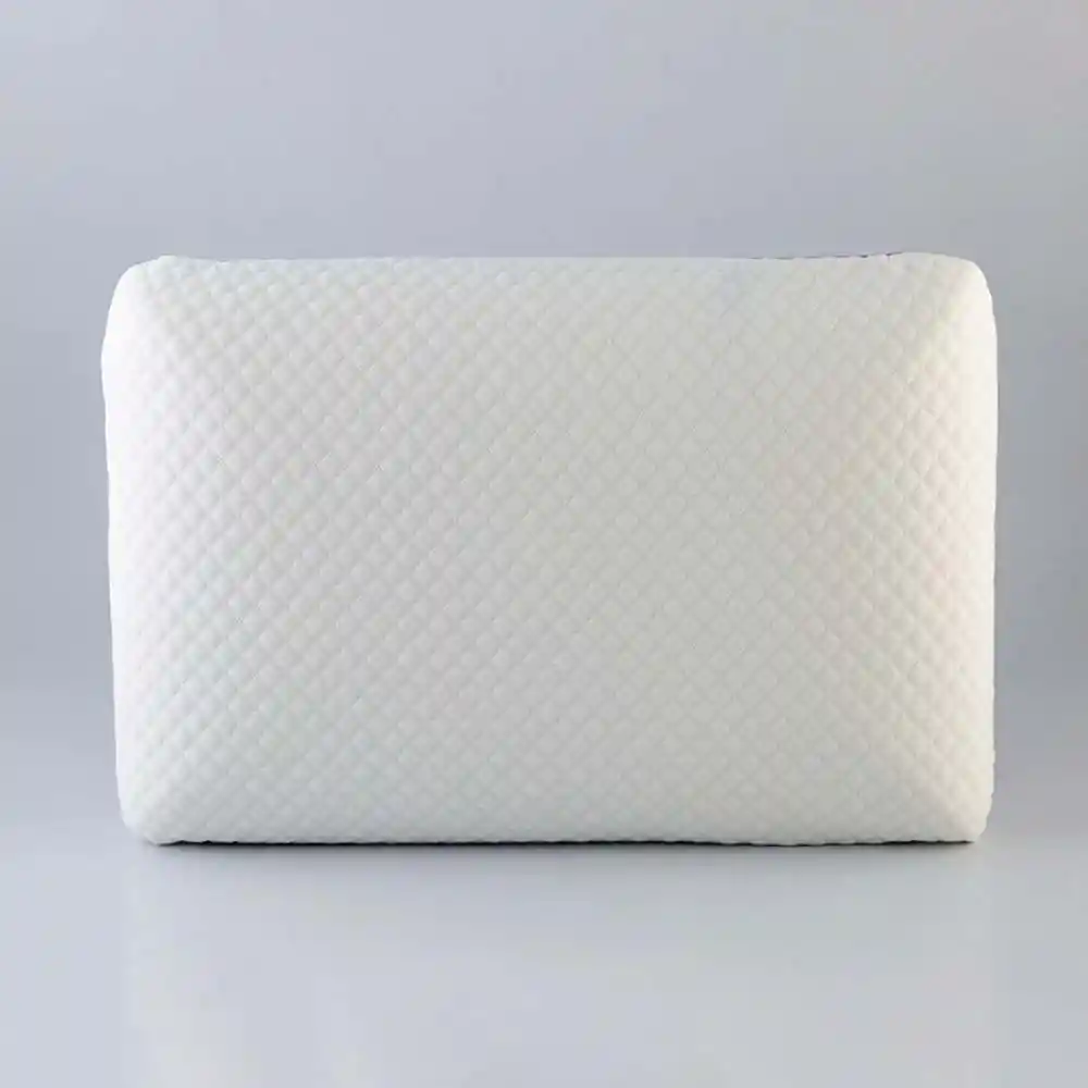 Almohada Expressions 60x40cm Morado Poliuretano