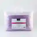 Almohada Expressions 60x40cm Morado Poliuretano