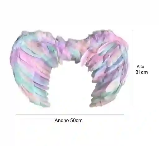 Alas De Plumas Tonos Pastel 50 X 31 Cm Halloween Carnaval