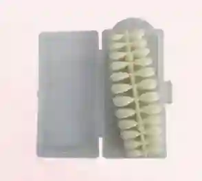 Uñas Press On Almendradas