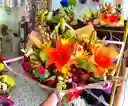 🌞destellos De Primavera