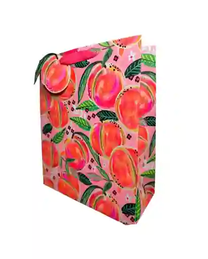 Bolsa De Regalo Durazno Premium