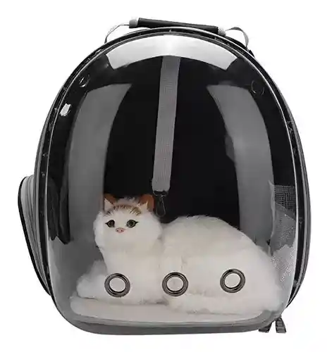 Maleta De Mascota