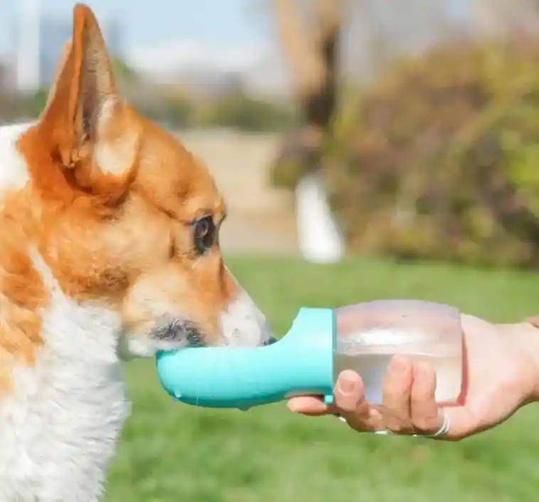 Dispensador De Agua Para Mascota Bebedero Para Perro Y Gato