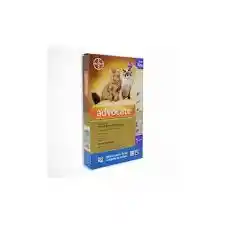 Advocate Gato 0.8 Ml Gato 4 A 8 Kl