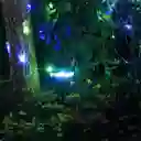 Lámpara Solar Con Extensión De Luces Rgb 8 Metros