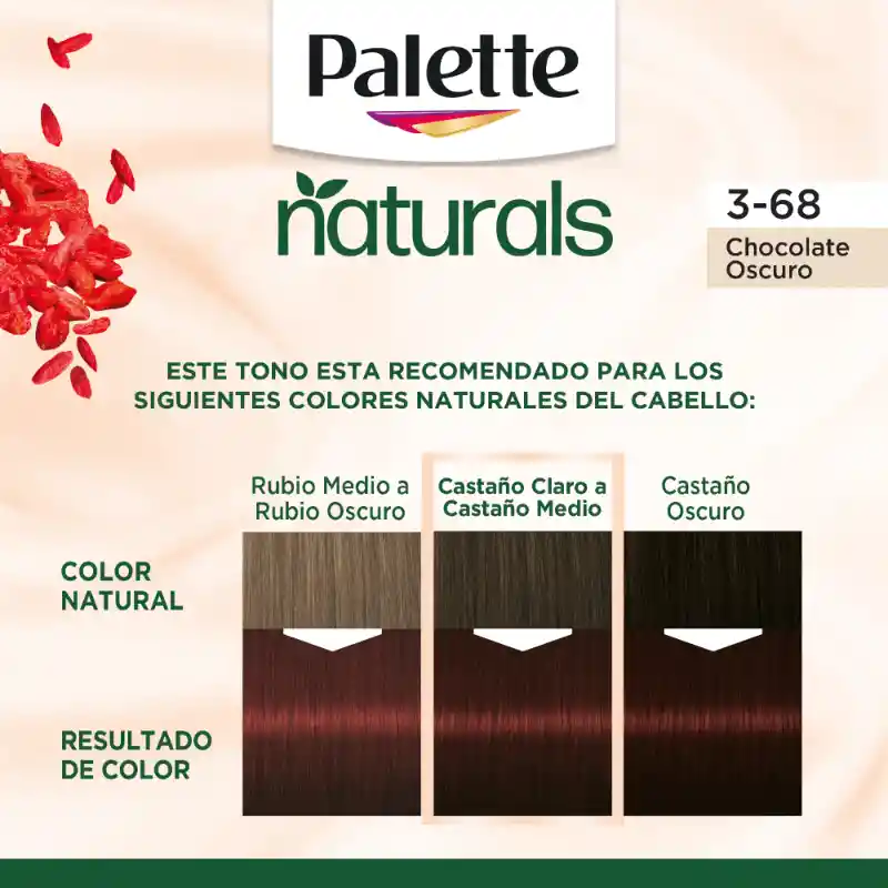Tinte Palette Naturals 3-68 Chocolate Oscuro Sin Amoniaco