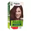 Tinte Palette Naturals 3-68 Chocolate Oscuro Sin Amoniaco