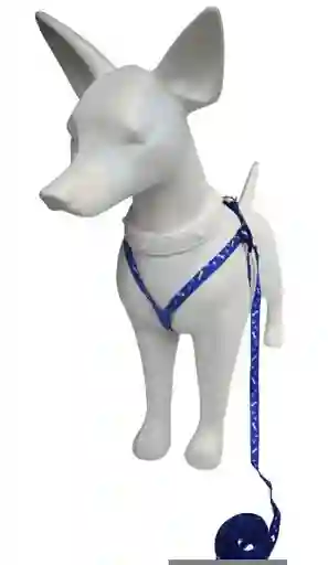 Arnés Pequeño Azul