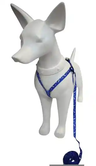 Arnés Pequeño Azul