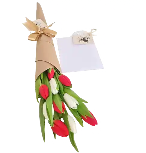 Cono De Tulipanes Rojos Y Blancos