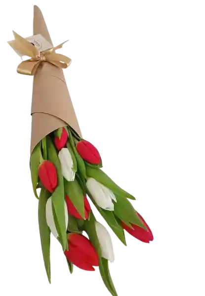 Cono De Tulipanes Rojos Y Blancos