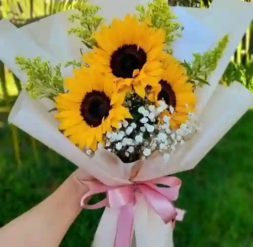 Amor De Sol