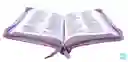 Biblia Reina Valera 1960 Mediana Rvr Letra Grande Pjr Color Lila Con Ayudas Digitales