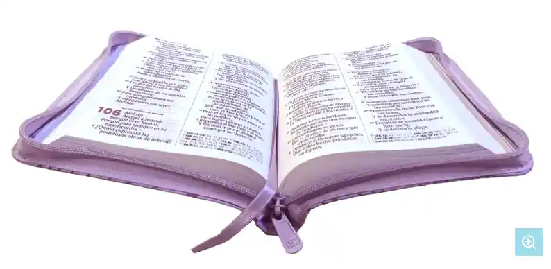 Biblia Reina Valera 1960 Mediana Rvr Letra Grande Pjr Color Lila Con Ayudas Digitales