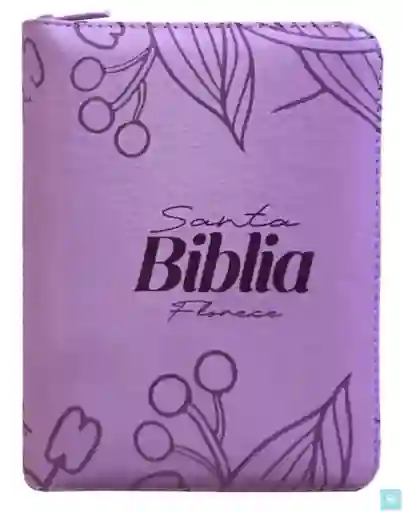 Biblia Reina Valera 1960 Mediana Rvr Letra Grande Pjr Color Lila Con Ayudas Digitales