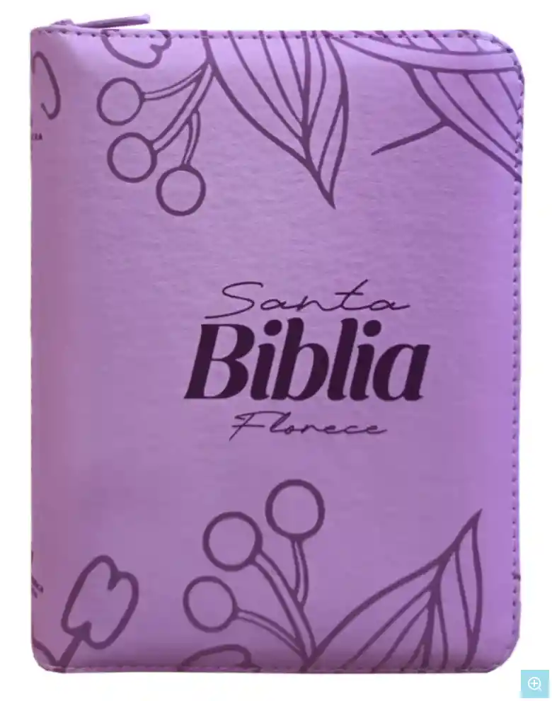 Biblia Reina Valera 1960 Mediana Rvr Letra Grande Pjr Color Lila Con Ayudas Digitales