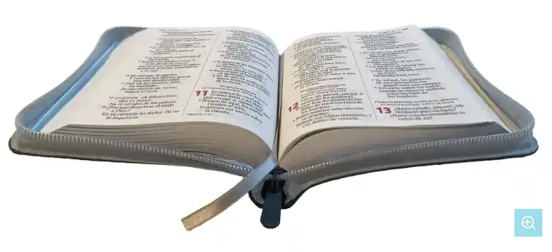 Biblia Reina Valera 1960 Mediana Rvr Letra Grande Pjr Color Gris Con Ayudas Digitales