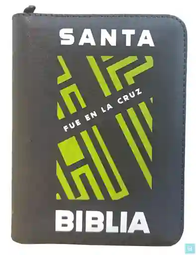 Biblia Reina Valera 1960 Mediana Rvr Letra Grande Pjr Color Gris Con Ayudas Digitales