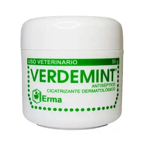 Verdemint Crema 300 Gr Crema Cicatrizante