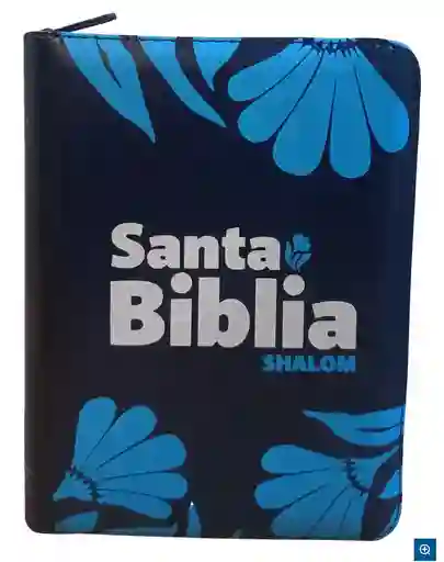 Biblia Reina Valera 1960 Mediana Rvr Letra Grande Pjr Color Azul Con Ayudas Digitales