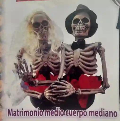 Matrinomio Medio Cuerpo Grande