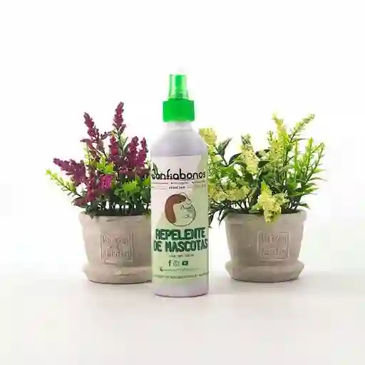Repelente De Mascotas Orgánico Para Plantas