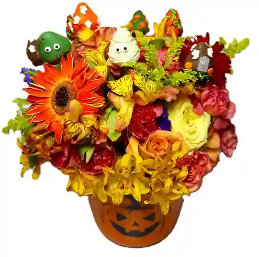 Rosas Naranjas Y Fresas Con Chcolate Calabaza En Brujada