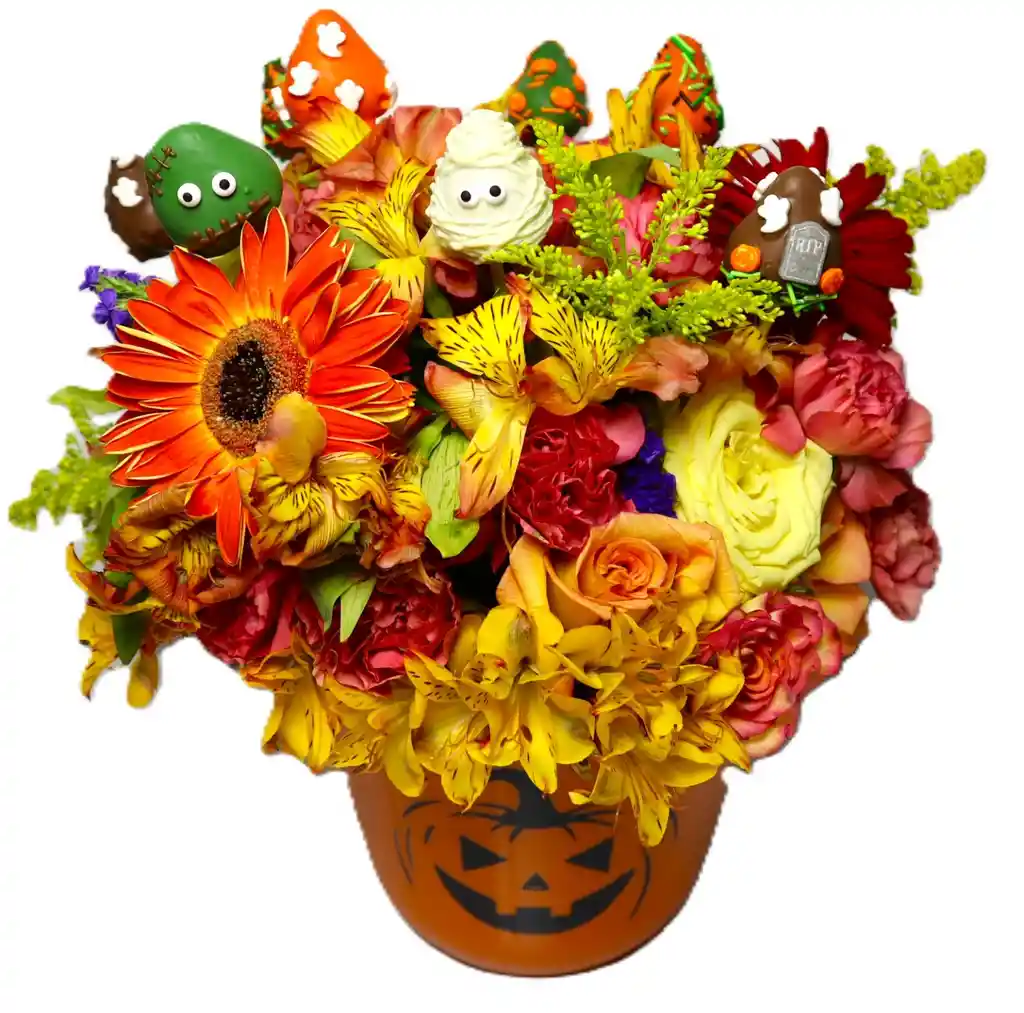 Rosas Naranjas Y Fresas Con Chcolate Calabaza En Brujada