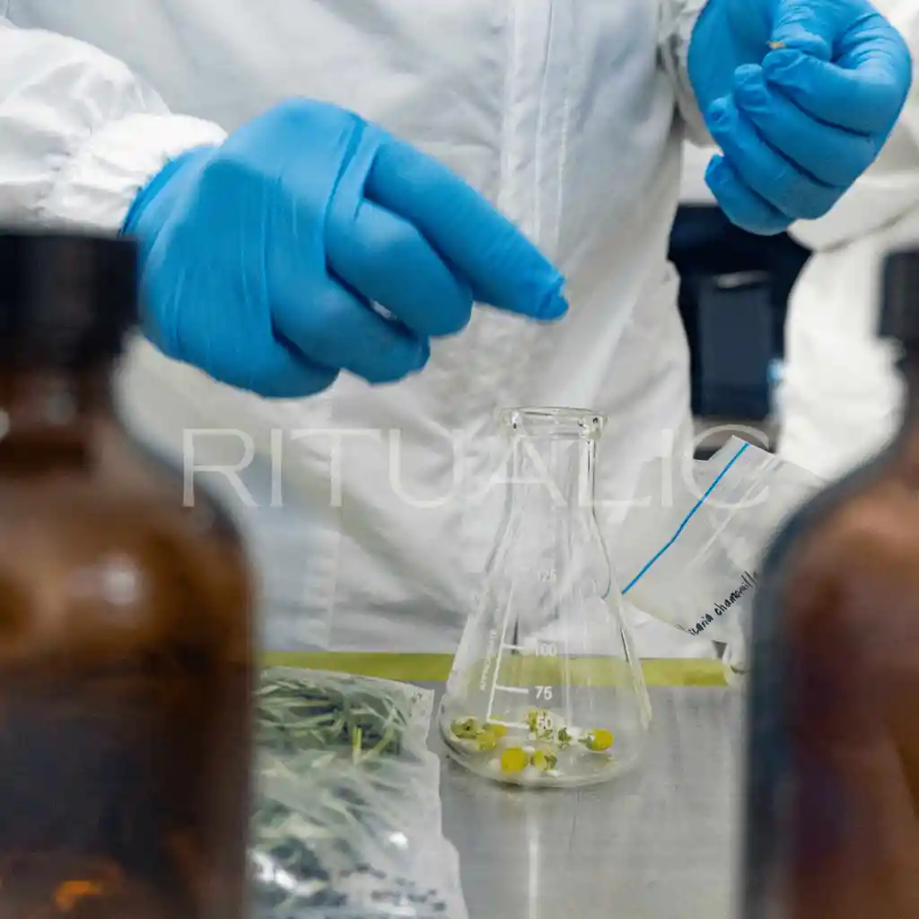 Combo Ritualic 3 Óleos – Nutrición, Protección Y Calma