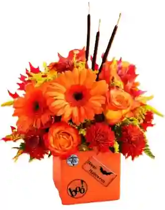 Gerberas , Astromelia Y Rosas Halloween