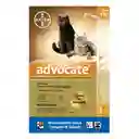 Advocate Antiparasitario para Gato