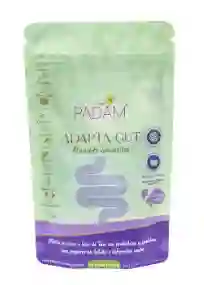 Adapta-gut X100gr Padam