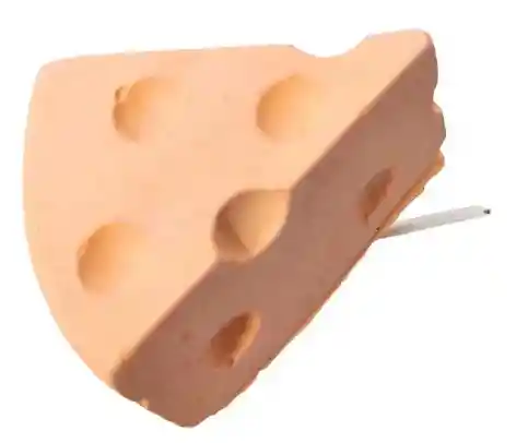 Calcio Desgasta Dientes Hámster Jerbos Ratas Dumbo.