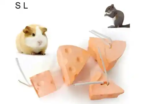 Calcio Desgasta Dientes Hámster Jerbos Ratas Dumbo.