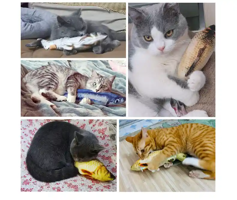 Pescado Con Catnip 40 Cm