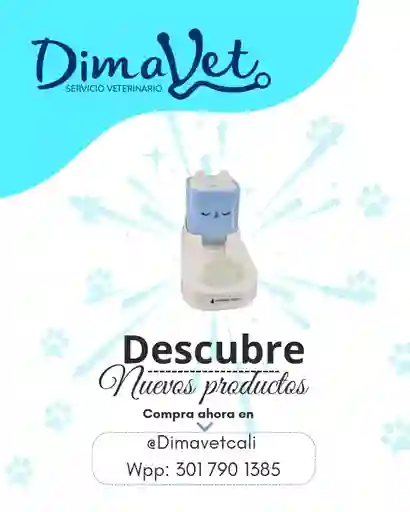 Dispensador De Comida Azul Cute