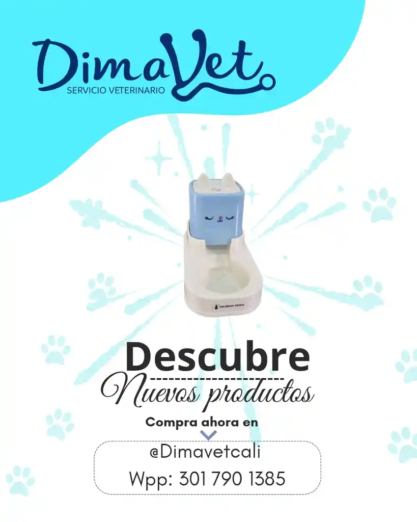 Dispensador De Comida Azul Cute