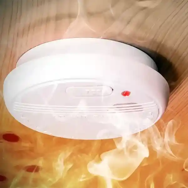 Sensor Detector De Humo Con Alarma Y Pila 9v
