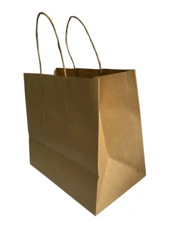 Bolsa Papel Kraft Tipo Domicilio Pequeña (26x24cms X16 Cms De Base)