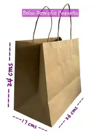 Bolsa Papel Kraft Tipo Domicilio Pequeña (26x24cms X16 Cms De Base)