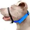 Collar Haltie M
