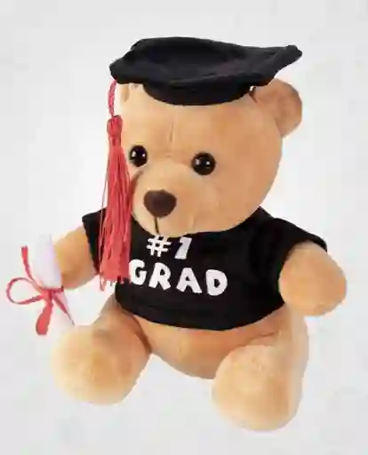 Peluche De Oso Grado