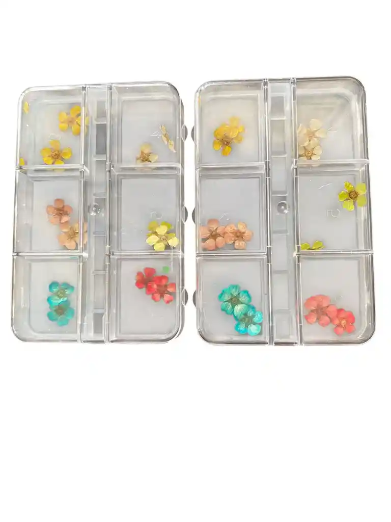 Caja Por Seis Diseños Con Decoracion Para Maquillaje De Uñas Y Rostro En Forma De Naturaleza Florez