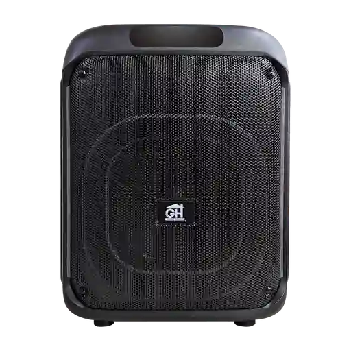 Parlante 8" 60w Usb Bt Led Gh
