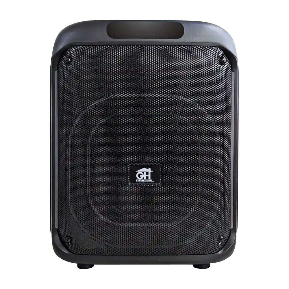 Parlante 8" 60w Usb Bt Led Gh