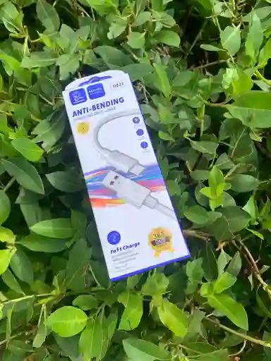 Cable De Carga Tipo C