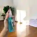 Ambientador Spray 60ml (12)