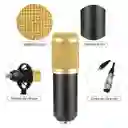 Combo Micrófono Bm-800 Condensador Con Brazo Tijera Y Filtro Color Negro/dorado