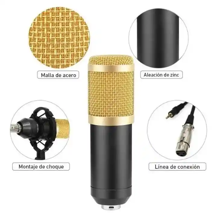 Combo Micrófono Bm-800 Condensador Con Brazo Tijera Y Filtro Color Negro/dorado